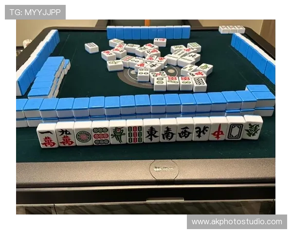 网络电子老虎机法律法规解读保障玩家权益与游戏公平