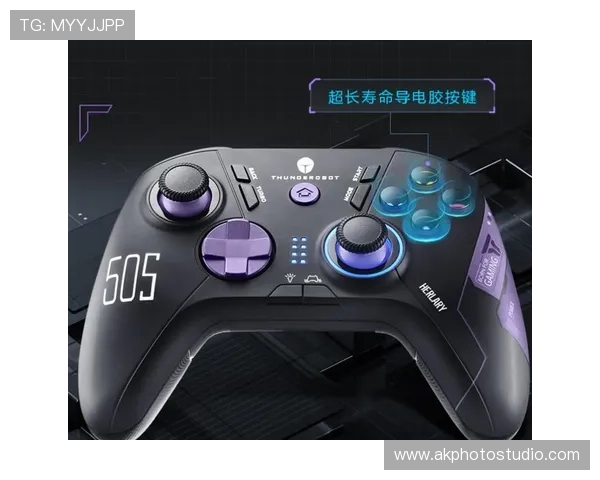 关于b电子狗的全面使用指南与最新功能介绍帮助玩家提升游戏体验