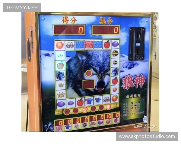 图解多福多财老虎机攻略新手必看提升游戏体验和中奖几率的实用指南 图解多福多财老虎机攻略新手必看提升游戏体验和中奖几率的实用指南